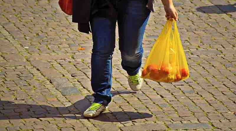 New tariff for single-use bags in Dubai Which will be charged and which will be exempted from July 1