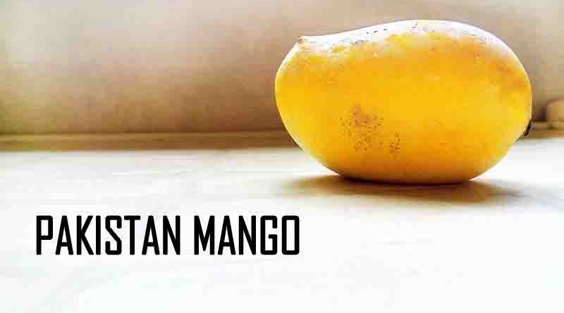 pakistan mango